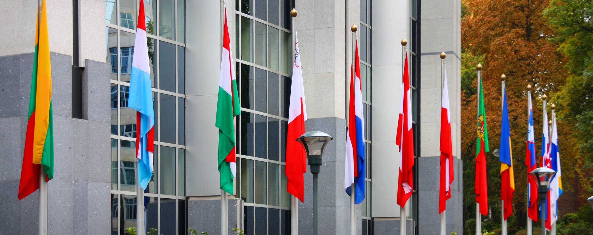 EU member state flags in front of the European Parliament building in Brussels